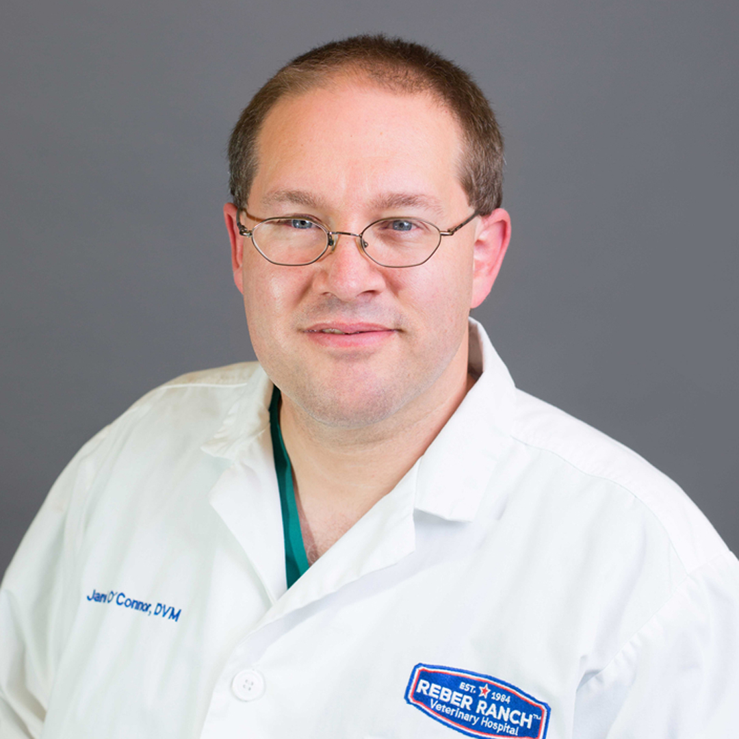 Dr. Jared Oâ€™Connor