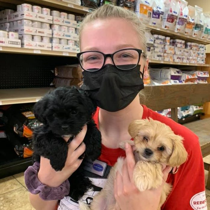 243337650_440476384084804_3868310845041147401_n