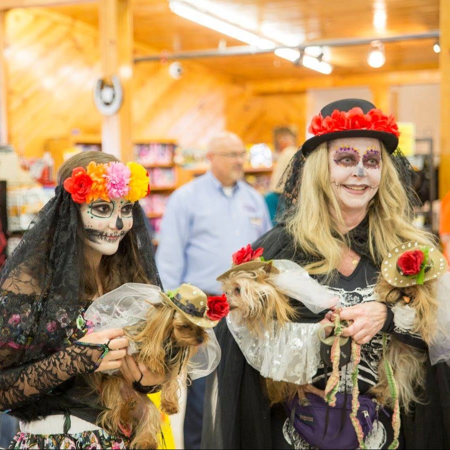 247544684_900075350946167_1318101832236192428_n-e1648074343330