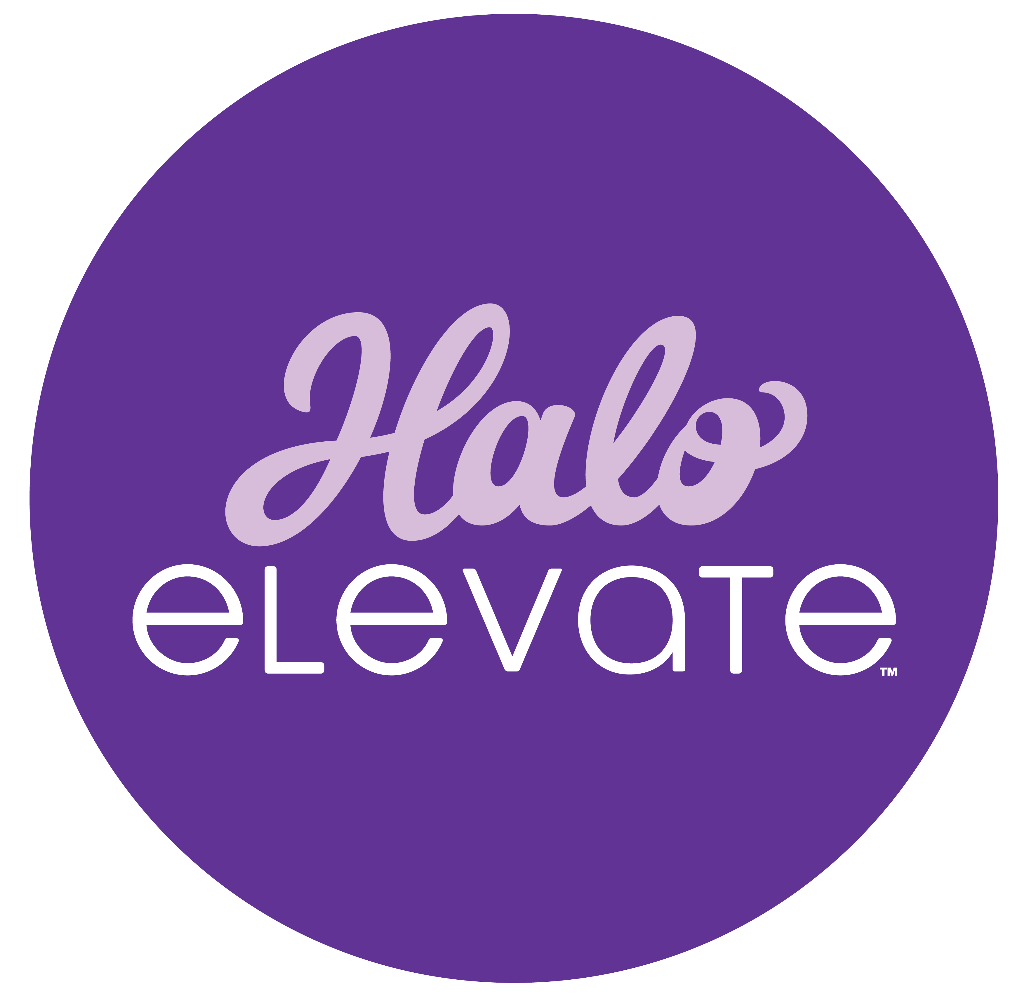 Halo-Elevate-Logo-wcircle