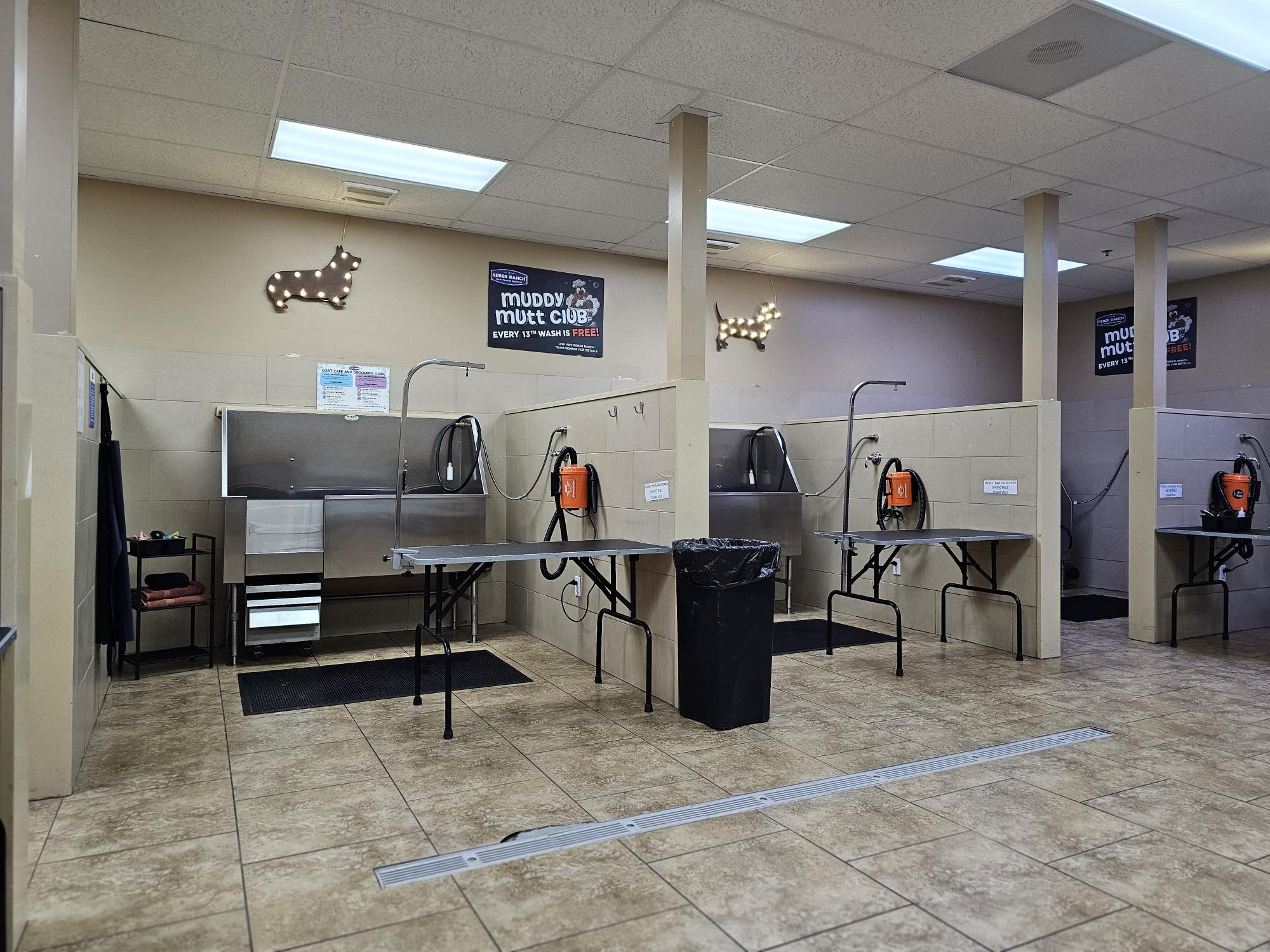 self serve dog wash Kent, WA